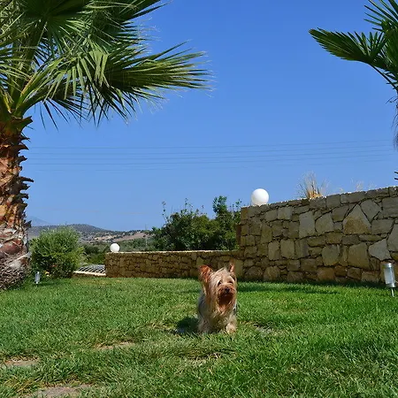 Apartment Arkadi Hills Estate